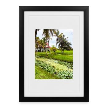 Tropical Paradise with Water Lilies - Framed poster (27 × 37 cm) - black - Front