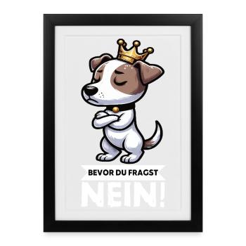 Avant que vous ne demandiez Jack Russel Terrier Jackie Terrier - Affiche encadrée (27 × 37 cm) - noir - Devant