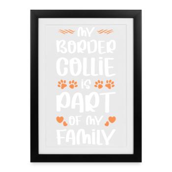 Mon Border Collie est un membre de la famille - Affiche encadrée (27 × 37 cm) - noir - Devant