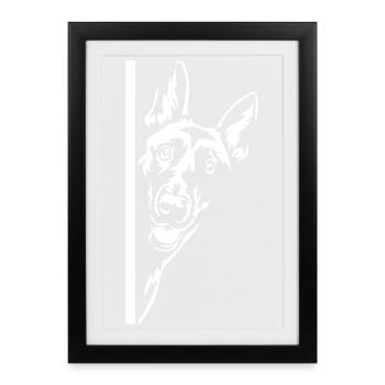 Malinois Head "Black Edition" - Framed poster (27 × 37 cm) - black - Front