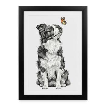 Border Collie avec dessin croquis papillon - Affiche encadrée (27 × 37 cm) - noir - Devant