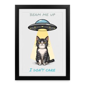 Chat irrité et faisceau OVNI – Mème « Beam Me Up » - Affiche encadrée (27 × 37 cm) - noir - Devant