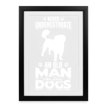 Ne sous-estimez jamais les propriétaires de chiens âgés - Affiche encadrée (27 × 37 cm) - noir - Devant