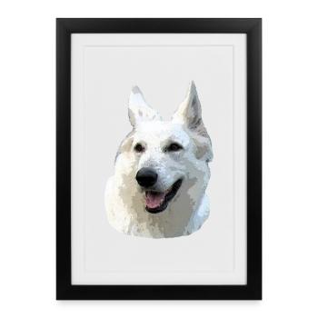 Berger Blanc - Affiche encadrée (27 × 37 cm) - noir - Devant
