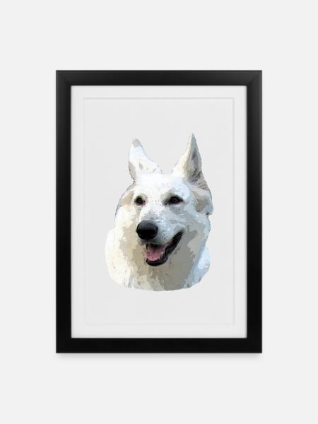 Weißer Schäferhund - Gerahmtes Poster (27 × 37 cm) - Schwarz