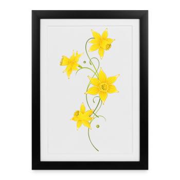 Fleurs de jonquilles, filigrane. Printemps, Pâques - Affiche encadrée (27 × 37 cm) - noir - Devant