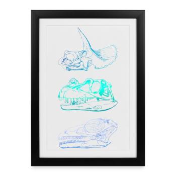 Crânes de dinosaures - Affiche encadrée (27 × 37 cm) - noir - Devant