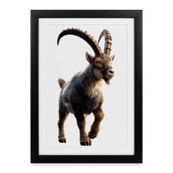 Capricorn Goat Alpine Ibex Capricorn Goats - Framed poster (27 × 37 cm) - black - Front