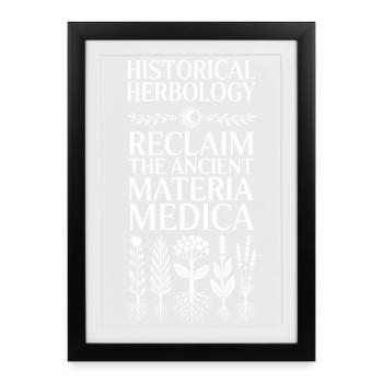 Botanique historique : Ancient Materia Medica - Affiche encadrée (27 × 37 cm) - noir - Devant