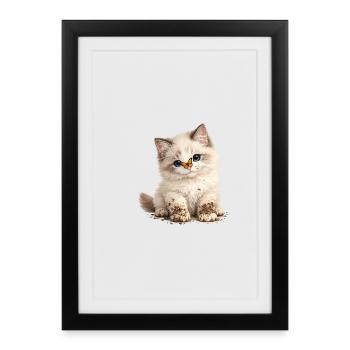 Little cute kitten with mud paws - Framed poster (27 × 37 cm) - black - Front