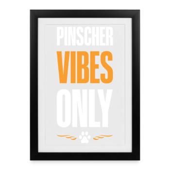 Pinscher Vibes uniquement - Affiche encadrée (27 × 37 cm) - noir - Devant