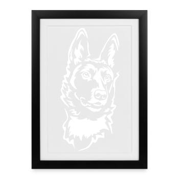 La tête de Malinoi « Black Edition » - Affiche encadrée (27 × 37 cm) - noir - Devant