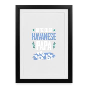 Papa chien bichon havanais - Affiche encadrée (27 × 37 cm) - noir - Devant