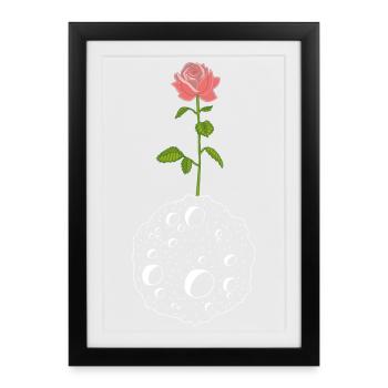 La fleur et la planète blanche - Affiche encadrée (27 × 37 cm) - noir - Devant