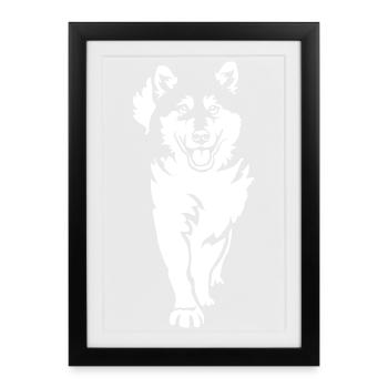 Malamute d’Alaska « Black Edition » - Affiche encadrée (27 × 37 cm) - noir - Devant
