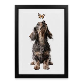 Dachshund with Butterfly Banksy Style Motif - Framed poster (27 × 37 cm) - black - Front