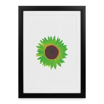 vert tournesol - Affiche encadrée (27 × 37 cm) - noir - Devant