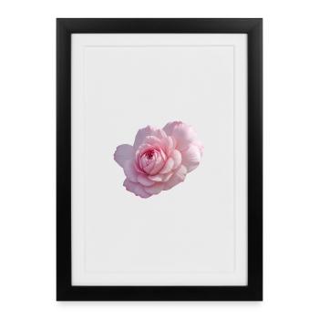 Rose Pink - Framed poster (27 × 37 cm) - black - Front