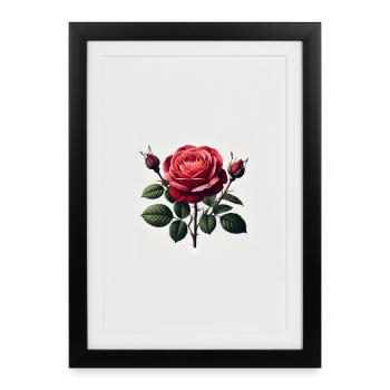 Belle rose rouge - Affiche encadrée (27 × 37 cm) - noir - Devant