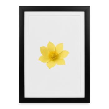 Yellow flower with soft petals - Framed poster (27 × 37 cm) - black - Front