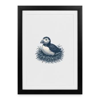 Detailed Puffin Nest Illustration - Framed poster (27 × 37 cm) - black - Front