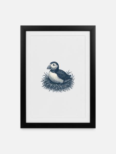 Detaillierte Papageientaucher-Nest-Illustration - Gerahmtes Poster (27 × 37 cm) - Schwarz