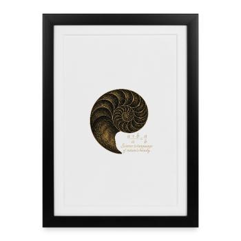 Golden Ratio of Fibonacci - Framed poster (27 × 37 cm) - black - Front
