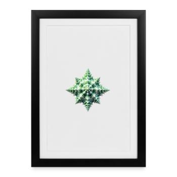 Grüne Stern-Muschel - Gerahmtes Poster (27 × 37 cm) - Schwarz - Vorne