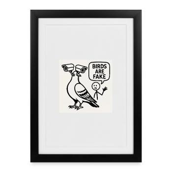 LES OISEAUX SONT FAUX - Affiche encadrée (27 × 37 cm) - noir - Devant