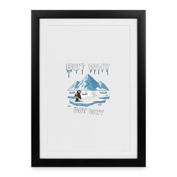 Mais pourquoi Penguin - Affiche encadrée (27 × 37 cm) - noir - Devant