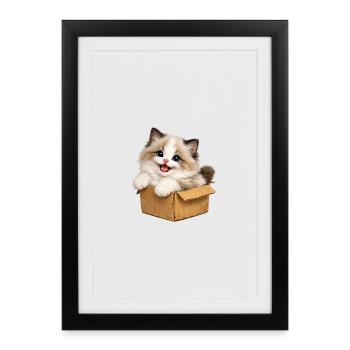 Le chaton heureux est dans sa boîte - Affiche encadrée (27 × 37 cm) - noir - Devant