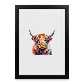 Portrait de vache arc-en-ciel des Highlands - Affiche encadrée (27 × 37 cm) - noir - Devant