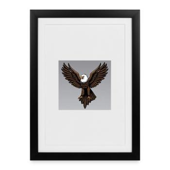 Aigle - Affiche encadrée (27 × 37 cm) - noir - Devant