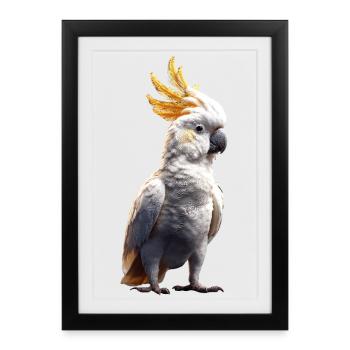Parrot Macaw Parakeet Cockatoo Lover Parrots - Framed poster (27 × 37 cm) - black - Front