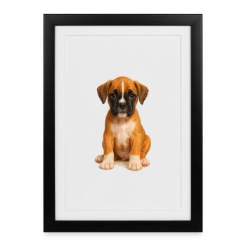 Mignon chiot boxer – motif de chien réaliste - Affiche encadrée (27 × 37 cm) - noir - Devant