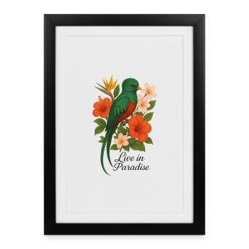 Live in Paradise – Tropical Bird of Paradise - Framed poster (27 × 37 cm) - black - Front