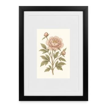 A classic flower - Framed poster (27 × 37 cm) - black - Front