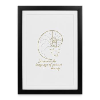 Golden Ratio - Framed poster (27 × 37 cm) - black - Front