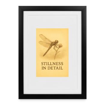 Silence dans les détails, Libellule. - Affiche encadrée (27 × 37 cm) - noir - Devant