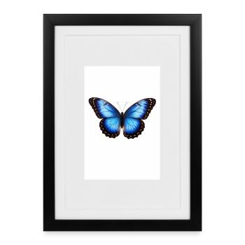 Ailes de papillon bleu - Affiche encadrée (27 × 37 cm) - noir - Devant