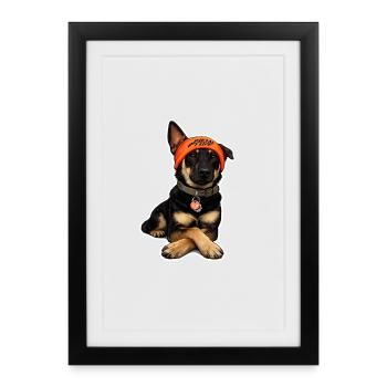 Chien avec un bandeau orange – Compagnon fidèle - Affiche encadrée (27 × 37 cm) - noir - Devant