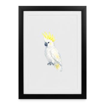 White Cockatoo Yellow Comb - Framed poster (27 × 37 cm) - black - Front