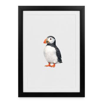Puffin Watercolor Illustration - Framed poster (27 × 37 cm) - black - Front