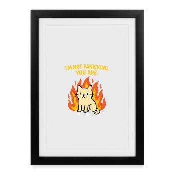 Funny Cat in Chaos -I'm Not Panicking, You Are - Framed poster (27 × 37 cm) - black - Front