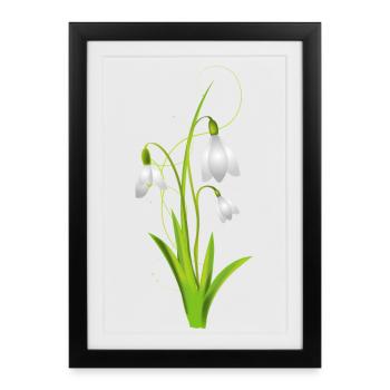 Les perce-neige comme de belles fleurs printanières - Affiche encadrée (27 × 37 cm) - noir - Devant
