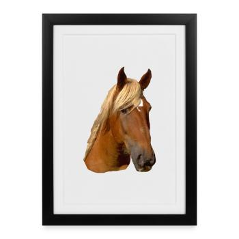 Golden Mane Horse Portrait - Framed poster (27 × 37 cm) - black - Front