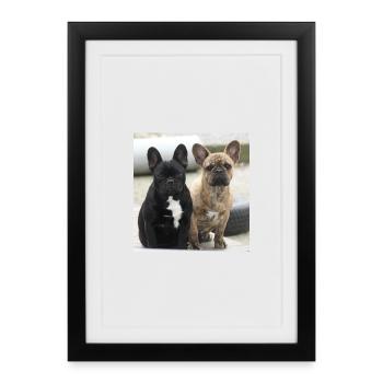 Deux Français Bulldogs - Affiche encadrée (27 × 37 cm) - noir - Devant