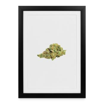 Single Cannabis / Weed Bud / Fleur - Affiche encadrée (27 × 37 cm) - noir - Devant