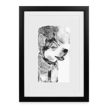Husky Chien Noir Blanc - Affiche encadrée (27 × 37 cm) - noir - Devant