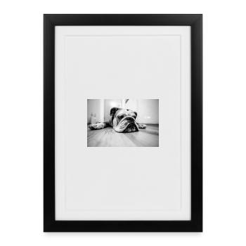 1200 Bouledogue - Affiche encadrée (27 × 37 cm) - noir - Devant
